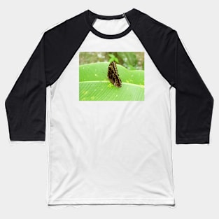 122514 owl Baseball T-Shirt